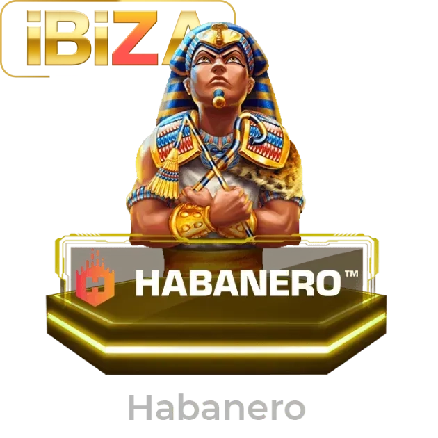 ibizagame game - 1